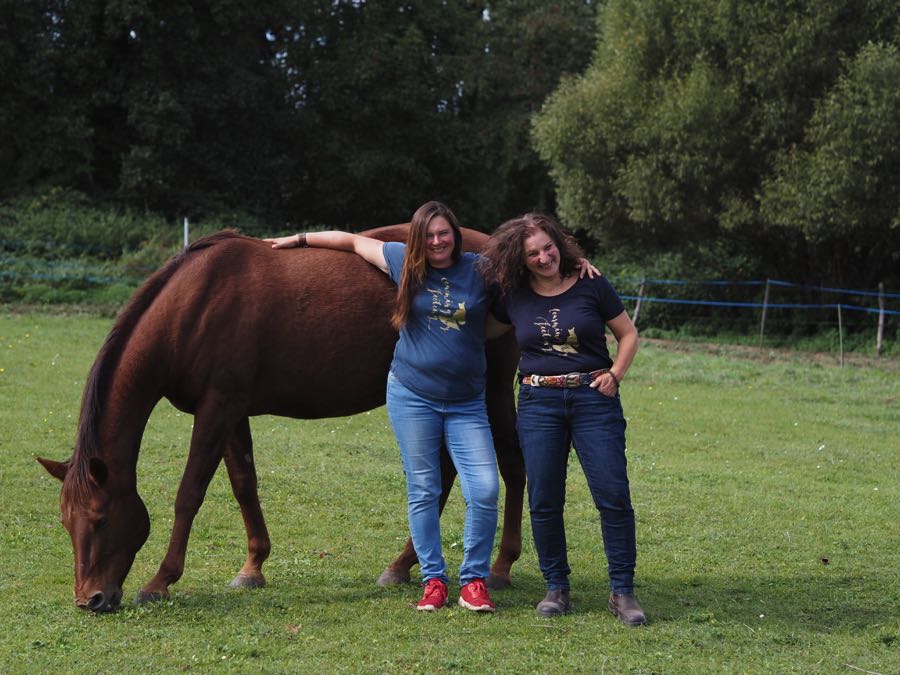 Horse-assisted, systemic training in Mecklenburg-Western Pomerania and Saarland