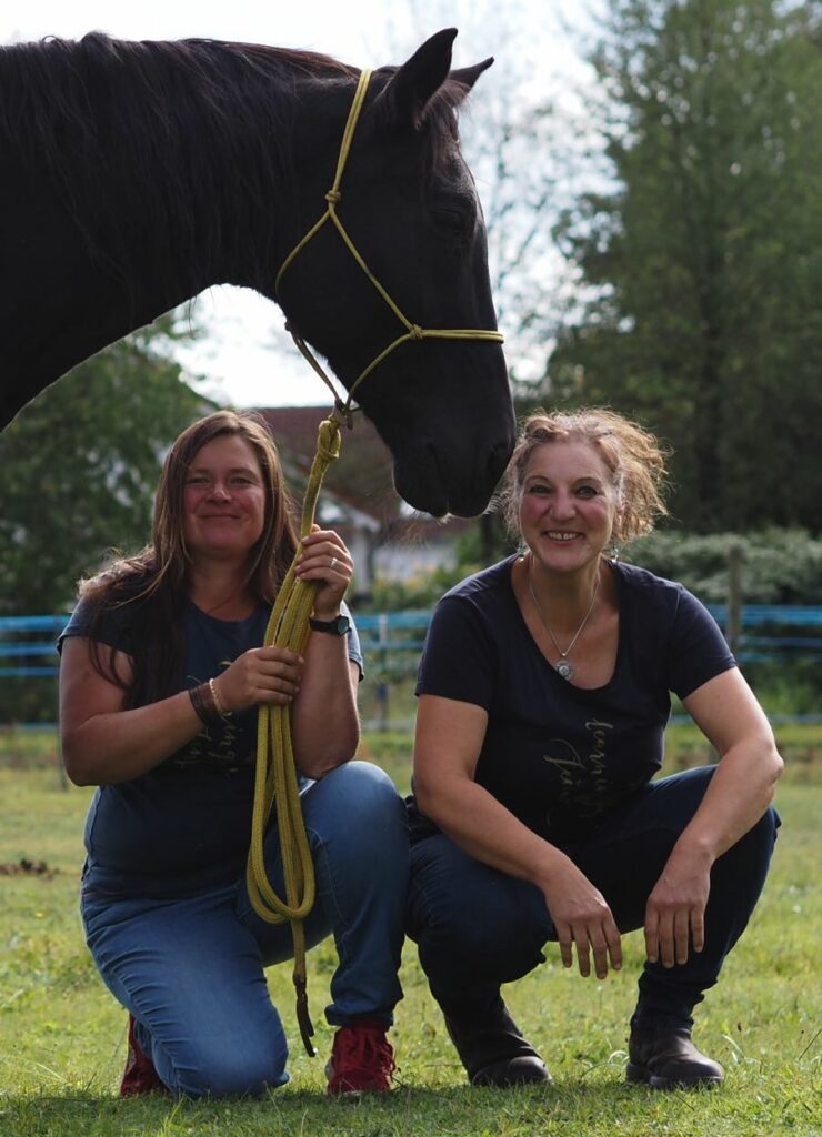 Horse-assisted, systemic training in Mecklenburg-Western Pomerania and Saarland
